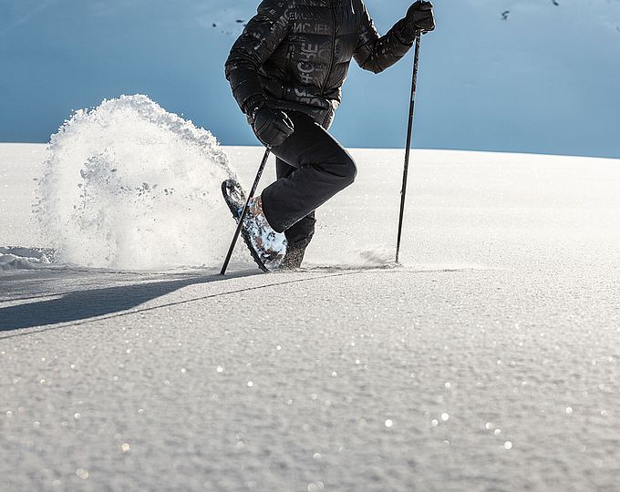 Winter walking & Snow shoe hiking